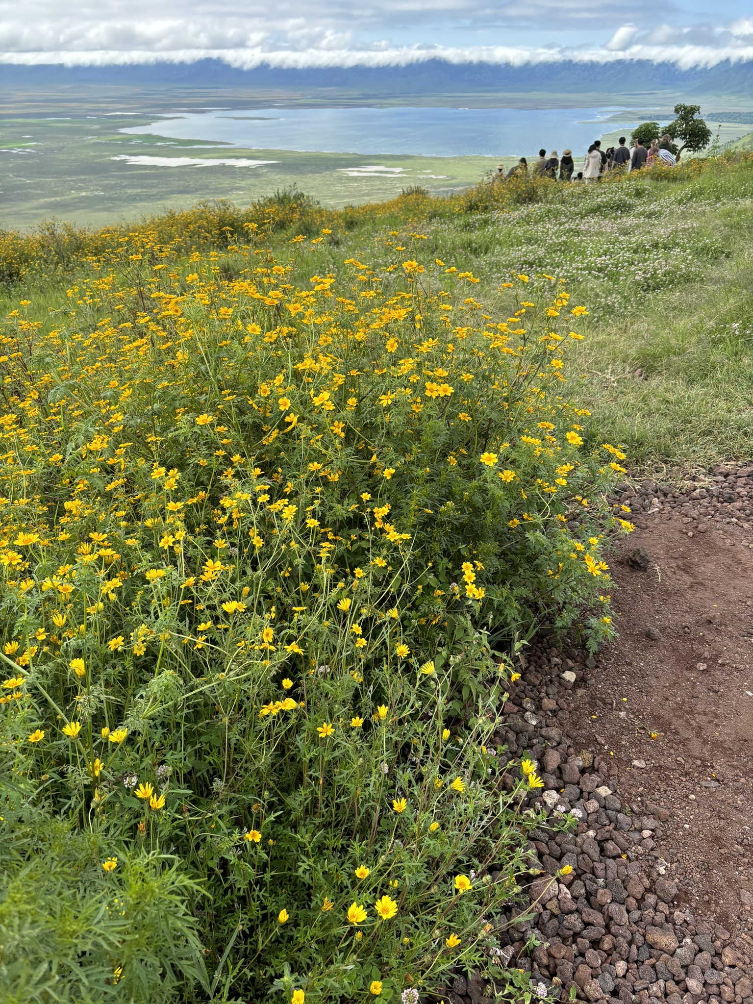 ngorongoro1